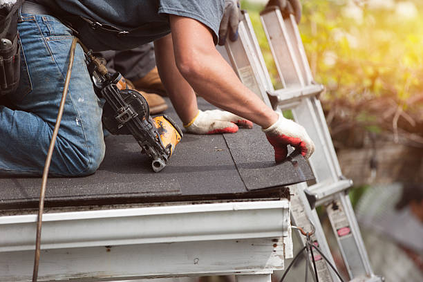 Best Roof Maintenance Services  in Honeyville, UT